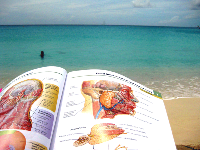 Guaranteed Med School Admission into top tier Carribean School